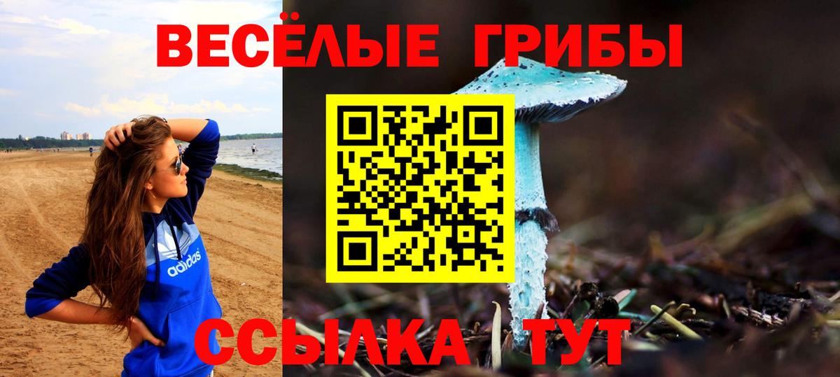 Псилоцибиновые грибы Psilocybe  Вход с VPN  Малгобек 