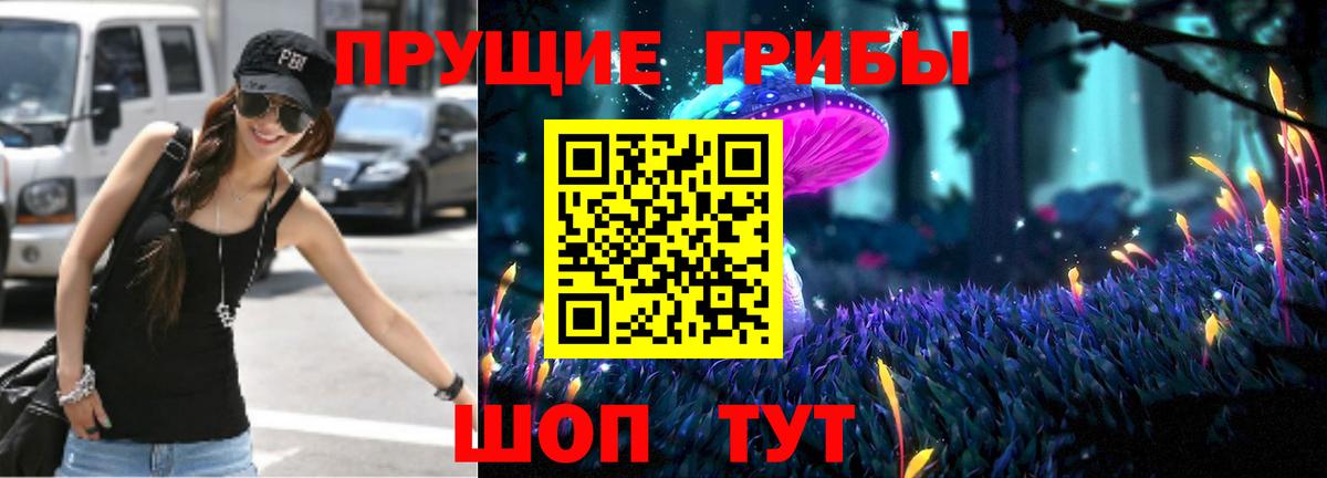Псилоцибиновые грибы Psilocybe Малгобек